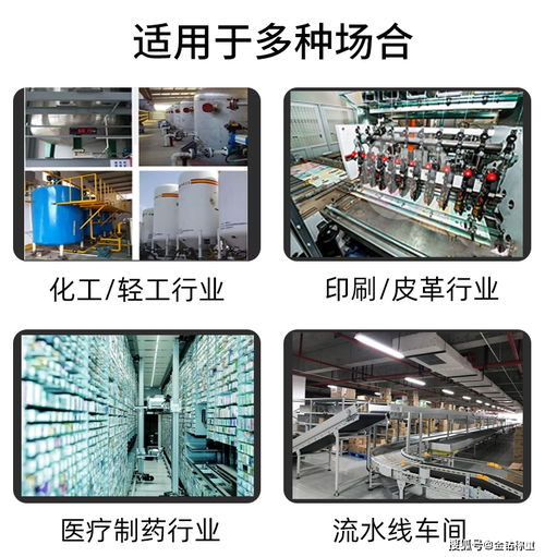 科技赋能，精准分拣 食品净重全自动在线称重分拣机的应用与推广