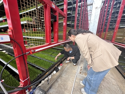潢川县 现代化智能育秧引领春耕新潮流，科技服务赋能农业高质量发展